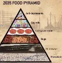 Food Pyramid of the Future