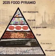 Food Pyramid of the Future